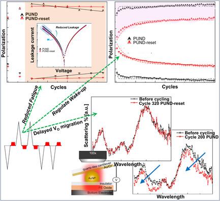 Resetting the Drift of Oxygen Vacancies in Ultrathin HZO Ferroelectric Memories by Electrical Pulse Engineering