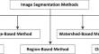 Nature inspired optimization algorithms for medical image segmentation: a comprehensive review