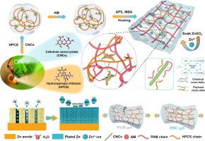 Cellulose nanocrystals built multiscale hydrogel electrolyte for highly reversible all-flexible zinc ion batteries