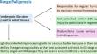 Cancer Represents Dysfunctions of Stem Cells Rather than Misbehavior of Differentiated Cells.