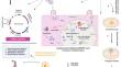 CRISPR-Cas9 mediated understanding of plants’ abiotic stress-responsive genes to combat changing climatic patterns