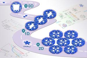 Dimensional regulation in gigantic molybdenum blue wheels featuring {(W)Mo5} motifs for enhanced proton conductivity