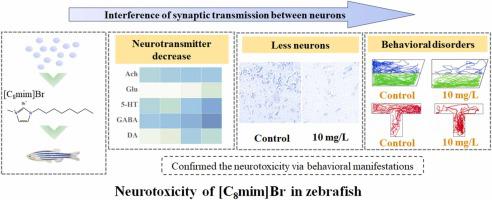 Long-term exposure to ionic liquid [C8mim]Br induces the potential risk of anxiety and memory deterioration through disturbing neurotransmitter systems