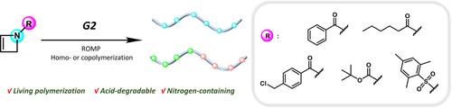 2-Azetine Derivatives as a Class of New Monomers for Controlled Ring-Opening Metathesis Polymerization towards Polyenamides†