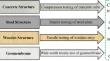 Application of Image Analysis Technique in Visualization of Failure During the Testing Of Materials