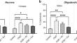 Protection from oxygen-glucose deprivation by neurosteroid treatment in primary neurons and oligodendrocytes.