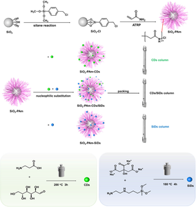 Preparation and chromatographic evaluation of hydrophilic polymer brushes grafted-silica with post modification of silicon/carbon dots as a green liquid chromatography stationary phase.