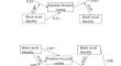 Racial Differences in Coping as a Mediating Pathway from Childhood Adversity to Adult Health