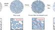 A novel process for improving the pore structure and electrochemical performance of wood-derived carbon/MnO composites