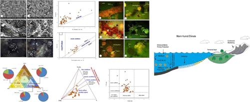 Characteristics of Cenomanian–Turonian Oceanic Anoxic Event 2 and its Impact on Organic Carbon Accumulation in the Abu Roash (F) Organic-Rich Carbonate Rocks in the Abu Gharadig Field, Egypt