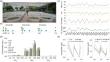 Single-/Co-Driving of Tetracycline, Triclocarban and Zinc on Microbial Community, Resistome and Function in the Cyanobacteria-Blooming Freshwater Ecosystem.