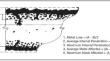 Utilization of Alumina Scale Formation by Ni-Base Alloys for High-Temperature Oxidation and Corrosion Resistance in Harsh Environments