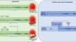 Therapeutic Potential of FXI Inhibitors: Hype or Hope?