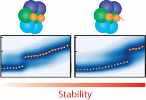 Gas-Phase Unfolding Reveals Stability Shifts Associated with Substrate Binding in Modular Polyketide Synthases.