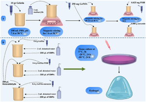 Design and characterization of electroactive gelatin methacrylate hydrogel incorporated with gold nanoparticles empowered with parahydroxybenzaldehyde and curcumin for advanced tissue engineering applications.