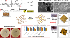 Preparation and potential of chitosan-based/Al<sub>2</sub>O<sub>3</sub> green hydrogel composites for the removal of methyl red dye from simulated solution.