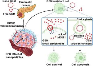 Addressing chemoresistance with a lipid gemcitabine nanotherapeutic strategy for effective treatment of pancreatic cancer