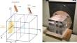 Experimental and numerical evaluation of the performance of an integrated activation device for neutron spectrum confirmation at THOR-BNCT