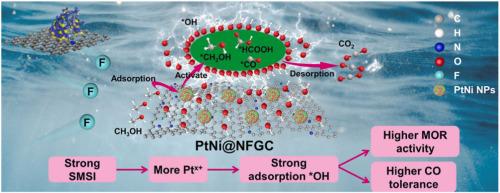 Fluorine atoms incorporation strengthens the strong metal-support interaction of PtNi@NFGC for enhanced methanol oxidation reaction performance under alkaline media