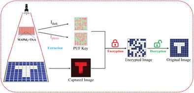 Photodetector Array Based on Perovskite Thin Film Enhanced by Thioacetamide for Imaging and Integrated In-Sensor Encryption