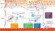 Current Treatments for Generalized Pustular Psoriasis: A Narrative Summary of a Systematic Literature Search.