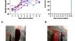 Evaluation of the diagnostic sensitivity and specificity of two pen-side tests for detecting African swine fever virus in experimentally infected pigs