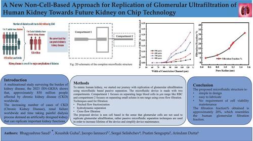 Design and simulation of a microfluidics-based artificial glomerular ultrafiltration unit to reduce cell-induced fouling.