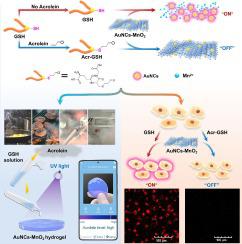 A novel fluorescent nanoplatform for detecting acrolein and application to on-site evaluation of scavenging capacity