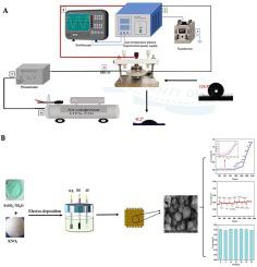 Construction of nitrite electrochemical sensor by in-situ deposition of FeOOH nanomaterials on carbon cloth modified with green DBD technology