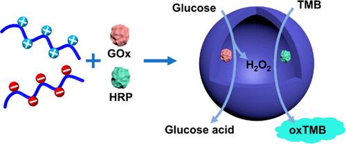 Zwitterionic Polyelectrolyte Complex Vesicles Assembled from Homopoly(2-Oxazoline)s as Enzyme Catalytic Nanoreactors for Potent Anti-Tumor Efficiency.