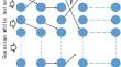 Synaptic plasticity: from chimera states to synchronicity oscillations in multilayer neural networks