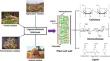 Chemical approaches for the biomass valorisation: a comprehensive review of pretreatment strategies.