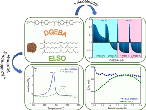 Investigation of the formation of epoxy-imidazole adducts and the kinetic triplets during thermal curing of a biobased and petrochemical epoxy with anhydride