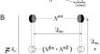 Transverse relaxation optimized spectroscopy of NH<sub>2</sub> groups in glutamine and asparagine side chains of proteins.