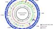 Complete genome sequence of Erwinia pyrifoliae strain YKB12327, isolated from an apple tree in Korea