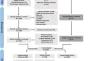 Evolution of white matter hyperintensity segmentation methods and implementation over the past two decades; an incomplete shift towards deep learning.