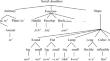 Counting and countability in classifier languages: evidence from Donglan Zhuang