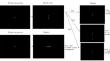 Generalization of sequence effects from conflict to cueing tasks.