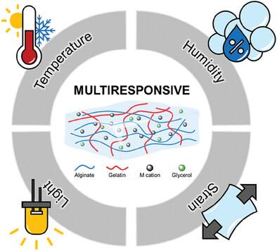 Multiresponsive Ionic Conductive Alginate/Gelatin Organohydrogels with Tunable Functions