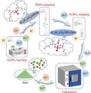 Recycling of Ni from leached spent catalyst residue by H2SO4 leaching and solvent extraction: leaching kinetics, purification and product preparation