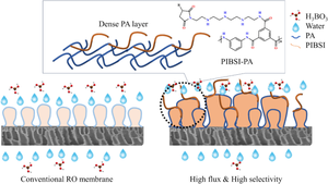 Fabrication of high selectivity and high flux reverse osmosis membranes