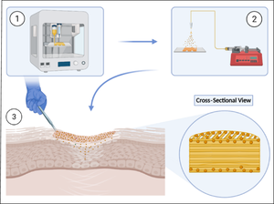 Novel production strategy of drug-encapsulated biodegradable scaffolds for remediation of hidradenitis suppurativa