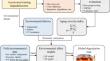 Predictive mapping and analysis of aging severity for acrylic resin coatings in global marine environments