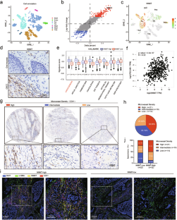 NNMT switches the proangiogenic phenotype of cancer-associated fibroblasts via epigenetically regulating ETS2/VEGFA axis