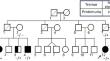 A family with neuronal intranuclear inclusion disease with focal segmental glomerulosclerosis.