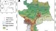 Assessment of benzene and toluene emissions in National Capital Region (NCR): Implications for health risks and ozone formation