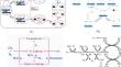 Catalytic coal gasification: mechanism, kinetics, and reactor model