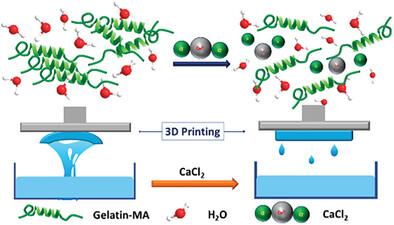 Hofmeister Ions‐Induced Thinning of Gelatin to Enhance 3D Printing Precision