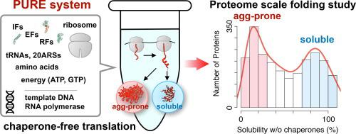 Reconstituted Cell-free Translation Systems for Exploring Protein Folding and Aggregation