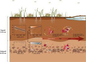 Depth-dependent responses of soil bacterial communities to salinity in an arid region.